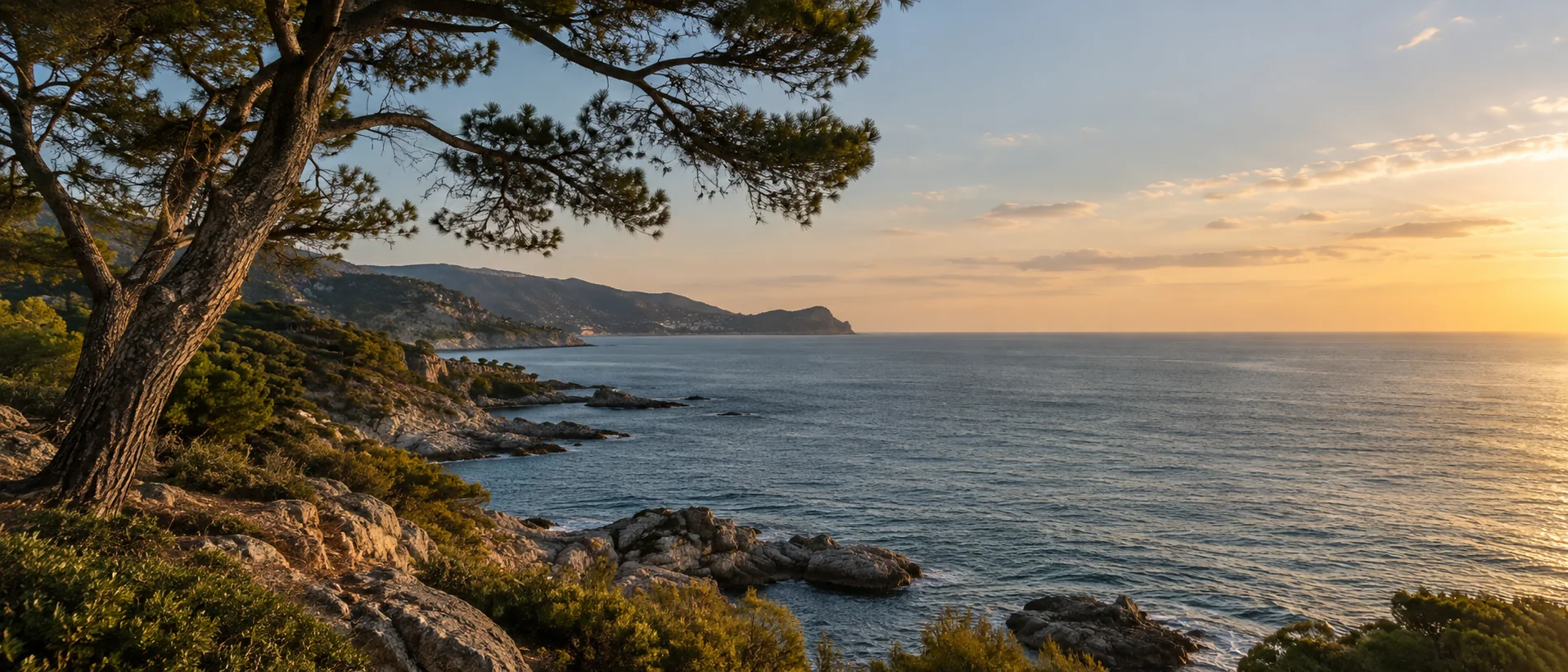 Costa mediterránea con pinos y luz de tarde